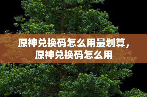 原神兑换码怎么用最划算，原神兑换码怎么用