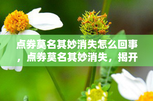 点券莫名其妙消失怎么回事，点券莫名其妙消失，揭开游戏内经济系统的神秘面纱