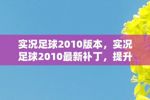 实况足球2010版本，实况足球2010最新补丁，提升游戏体验的必备利器