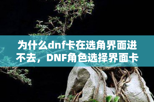 为什么dnf卡在选角界面进不去，DNF角色选择界面卡顿问题解析