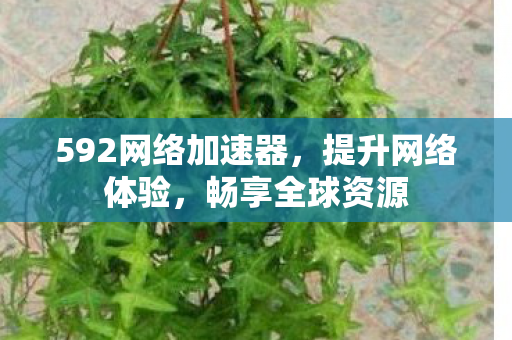 592网络加速器，提升网络体验，畅享全球资源