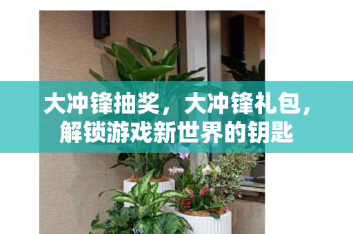 大冲锋抽奖，大冲锋礼包，解锁游戏新世界的钥匙