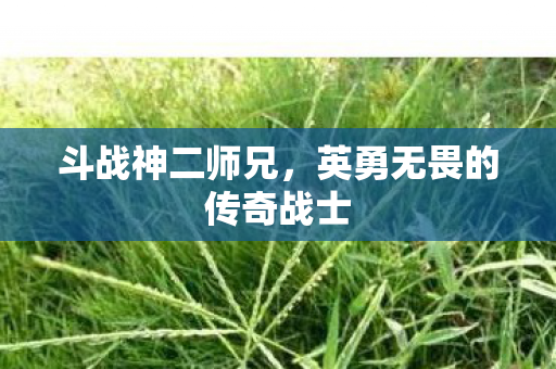 斗战神二师兄,英勇无畏的传奇战士 斗战神二师兄,英勇无畏的传奇战士