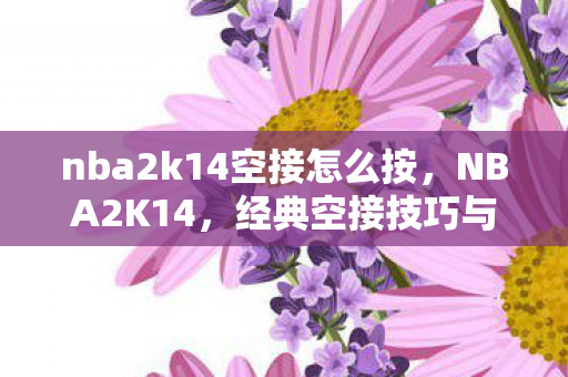 nba2k14空接怎么按，NBA2K14，经典空接技巧与战术解析