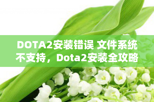 DOTA2安装错误 文件系统不支持，Dota2安装全攻略，从新手到高手的必备指南