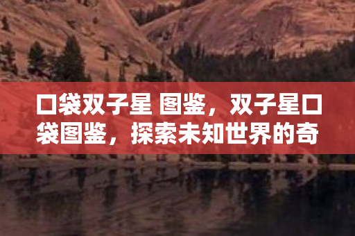 口袋双子星 图鉴，双子星口袋图鉴，探索未知世界的奇妙之旅