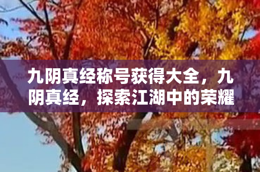 九阴真经称号获得大全,九阴真经,探索江湖中的荣耀称号 九阴真经称号获得大全,九阴真经,探索江湖中的荣耀称号