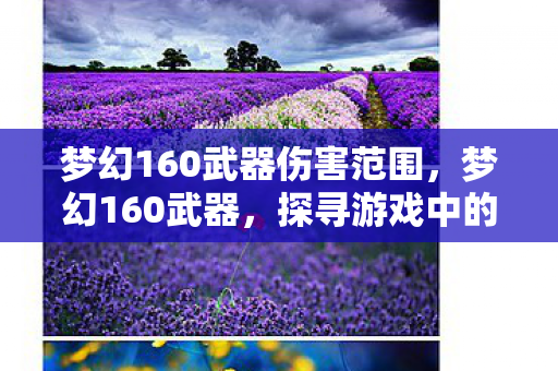 梦幻160武器伤害范围，梦幻160武器，探寻游戏中的极致装备