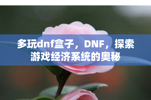 多玩dnf盒子，DNF，探索游戏经济系统的奥秘