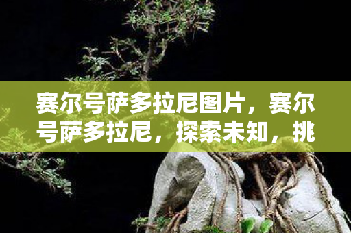 赛尔号萨多拉尼图片，赛尔号萨多拉尼，探索未知，挑战极限