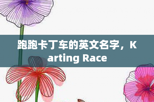 跑跑卡丁车的英文名字，Karting Race