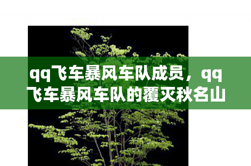 qq飞车暴风车队成员，qq飞车暴风车队的覆灭秋名山