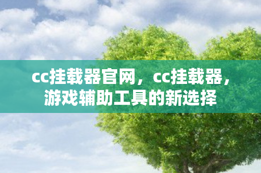 cc挂载器官网，cc挂载器，游戏辅助工具的新选择