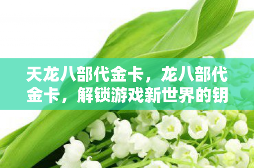 天龙八部代金卡，龙八部代金卡，解锁游戏新世界的钥匙