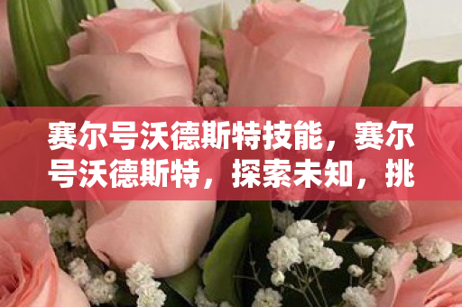 赛尔号沃德斯特技能，赛尔号沃德斯特，探索未知，挑战极限
