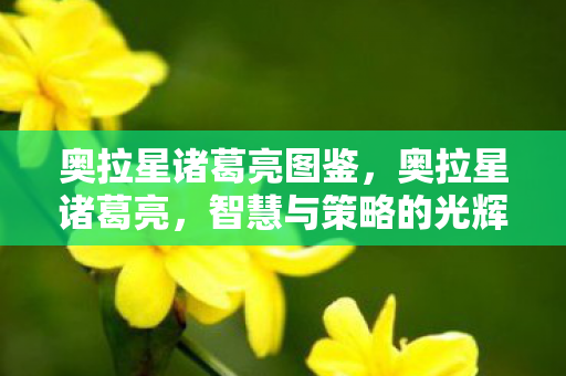 奥拉星诸葛亮图鉴，奥拉星诸葛亮，智慧与策略的光辉篇章