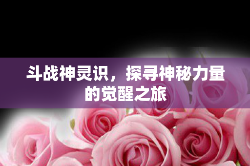 斗战神灵识，探寻神秘力量的觉醒之旅