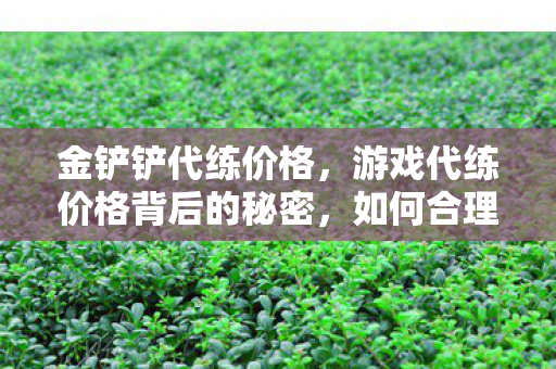 金铲铲代练价格,游戏代练价格背后的秘密,如何合理定价与选择服务 金铲铲代练价格,游戏代练价格背后的秘密,如何合理定价与选择服务