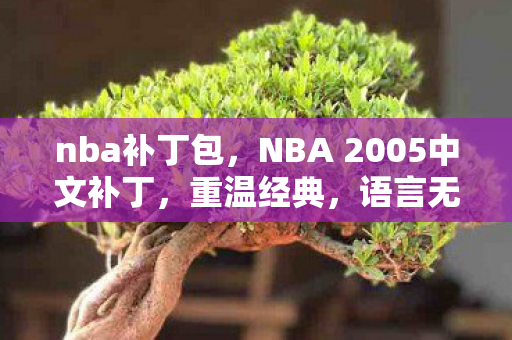 nba补丁包，NBA 2005中文补丁，重温经典，语言无界