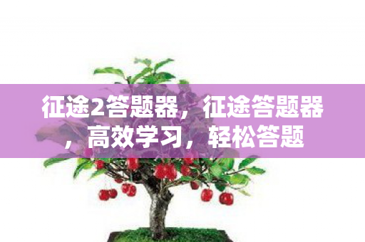 征途2答题器，征途答题器，高效学习，轻松答题