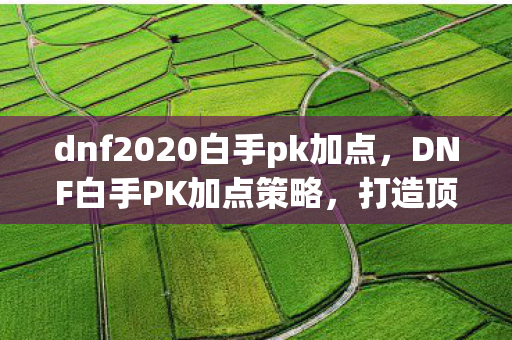 dnf2020白手pk加点，DNF白手PK加点策略，打造顶尖战斗力的关键