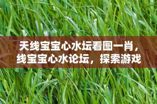天线宝宝心水坛看图一肖，线宝宝心水论坛，探索游戏世界的无限可能