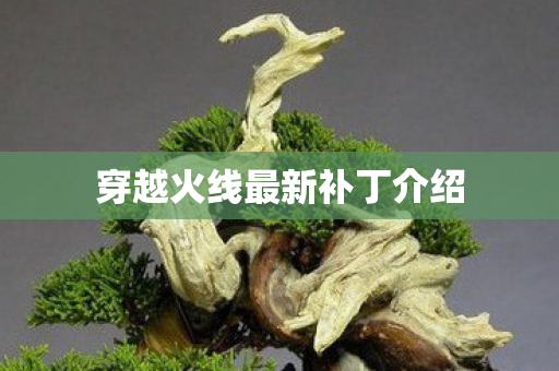 穿越火线最新补丁介绍 穿越火线最新补丁介绍