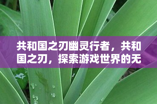 共和国之刃幽灵行者,共和国之刃,探索游戏世界的无限可能 共和国之刃幽灵行者,共和国之刃,探索游戏世界的无限可能