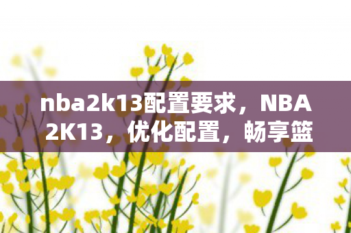 nba2k13配置要求，NBA 2K13，优化配置，畅享篮球盛宴