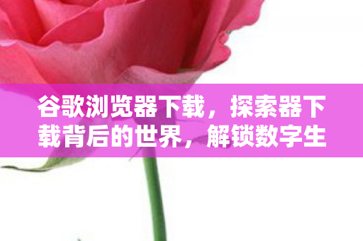 谷歌浏览器下载，探索器下载背后的世界，解锁数字生活的便捷与奥秘