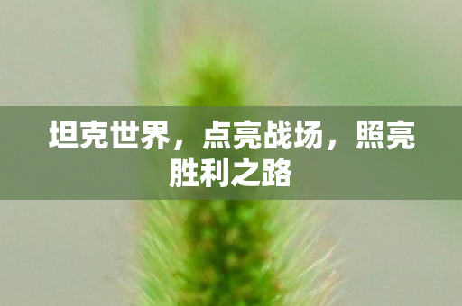 坦克世界，点亮战场，照亮胜利之路