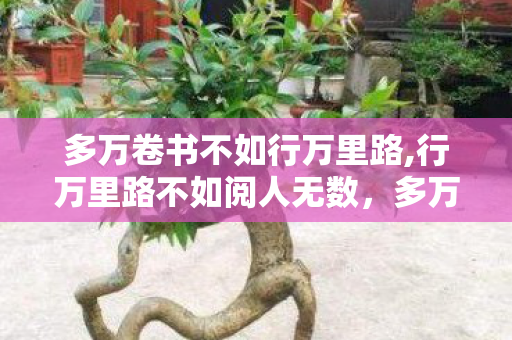 多万卷书不如行万里路,行万里路不如阅人无数，多万，探索游戏世界的多元选择