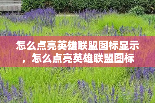 怎么点亮英雄联盟图标显示，怎么点亮英雄联盟图标