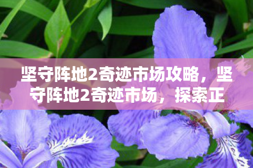 坚守阵地2奇迹市场攻略，坚守阵地2奇迹市场，探索正版游戏的魅力与机遇