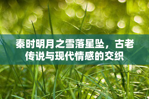 秦时明月之雪落星坠,古老传说与现代情感的交织 秦时明月之雪落星坠,古老传说与现代情感的交织