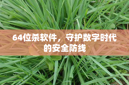 64位杀软件，守护数字时代的安全防线