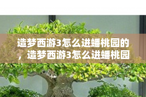 造梦西游3怎么进蟠桃园的，造梦西游3怎么进蟠桃园