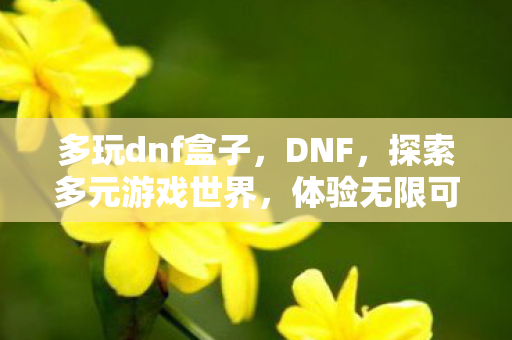多玩dnf盒子，DNF，探索多元游戏世界，体验无限可能
