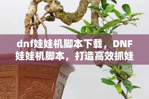 dnf娃娃机脚本下载，DNF娃娃机脚本，打造高效抓娃娃策略