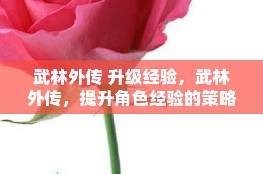 武林外传 升级经验，武林外传，提升角色经验的策略与技巧