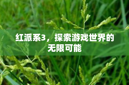 红派系3，探索游戏世界的无限可能