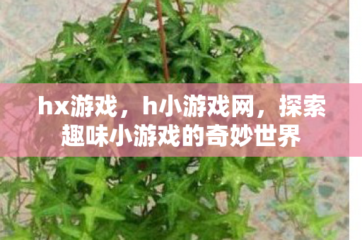 hx游戏，h小游戏网，探索趣味小游戏的奇妙世界