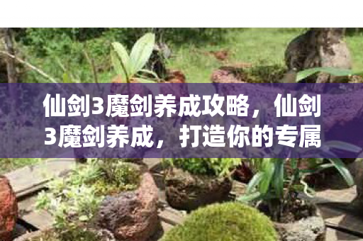 仙剑3魔剑养成攻略，仙剑3魔剑养成，打造你的专属神器