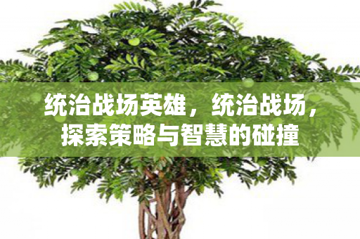 统治战场英雄，统治战场，探索策略与智慧的碰撞