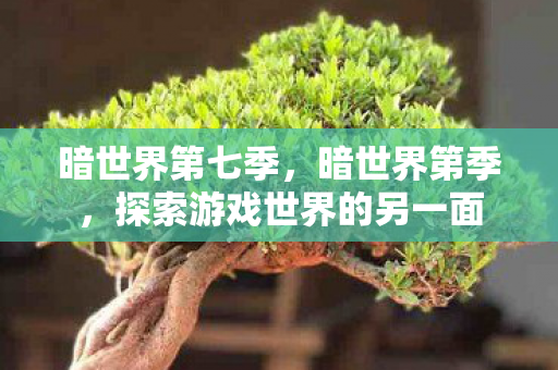 暗世界第七季，暗世界第季，探索游戏世界的另一面