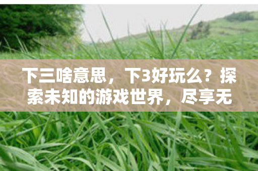 下三啥意思，下3好玩么？探索未知的游戏世界，尽享无限乐趣！