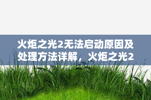 火炬之光2无法启动原因及处理方法详解，火炬之光2无法启动，解决游戏启动问题的全面指南