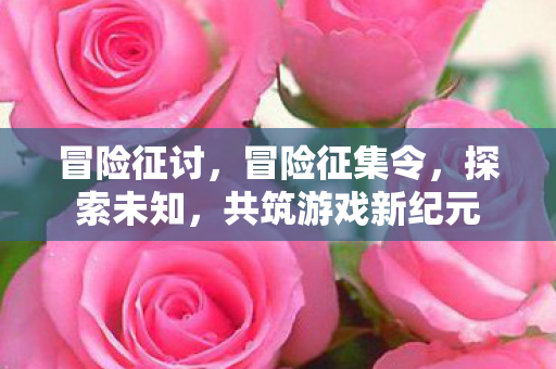 冒险征讨，冒险征集令，探索未知，共筑游戏新纪元