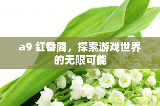 a9 红番阁，探索游戏世界的无限可能
