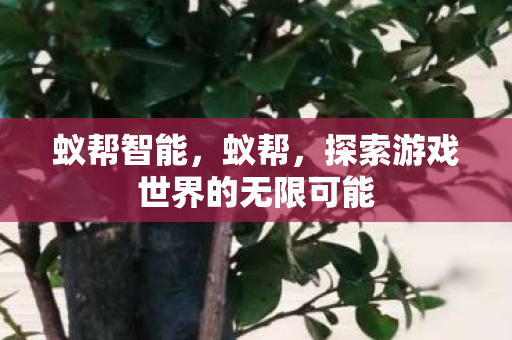 蚁帮智能，蚁帮，探索游戏世界的无限可能